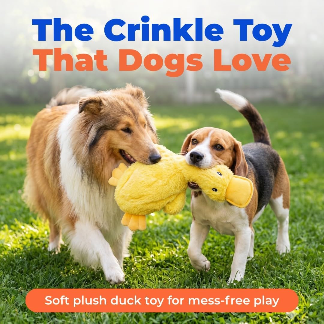Petvexa Squeaky Crinkle Duck Dog Toy, Stuffing Free Plush Toy for Small, Medium and Large Dogs