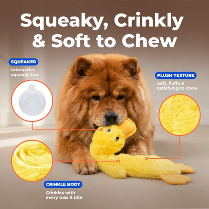 Petvexa Squeaky Crinkle Duck Dog Toy, Stuffing Free Plush Toy for Small, Medium and Large Dogs
