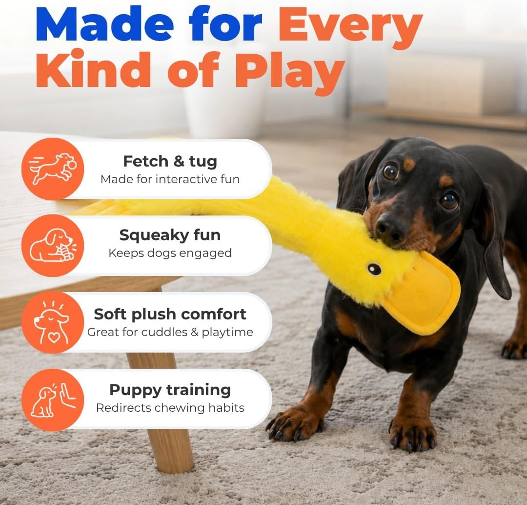 Petvexa Squeaky Crinkle Duck Dog Toy, Stuffing Free Plush Toy for Small, Medium and Large Dogs